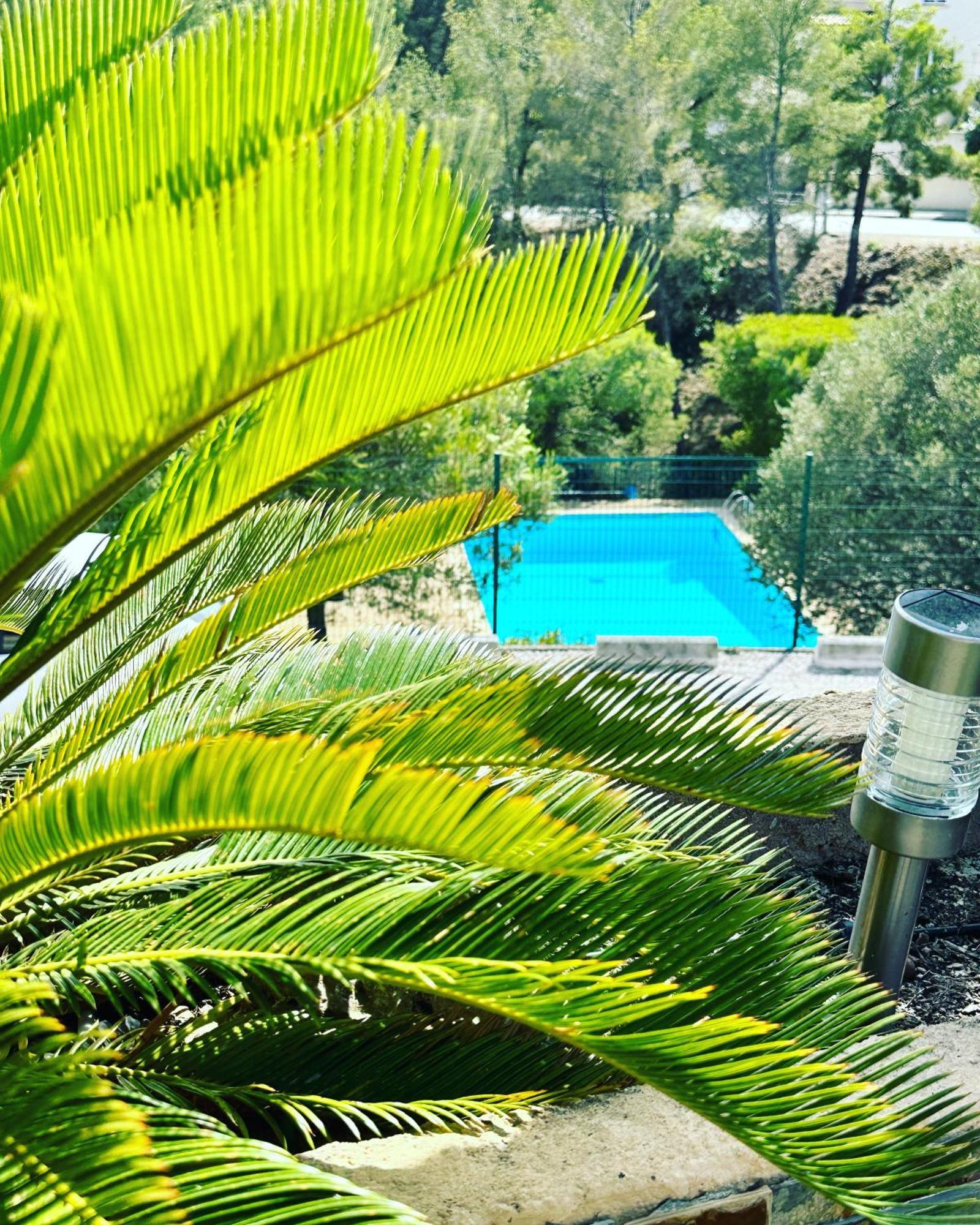 Vuemer Bandol - Grande Terrasse De 45M2 Vue Mer Piscine Parking Dış mekan fotoğraf